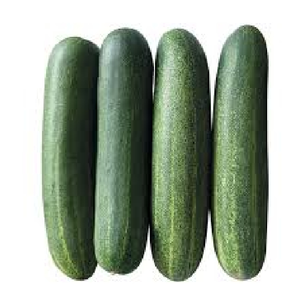 Cucumber(1kg)