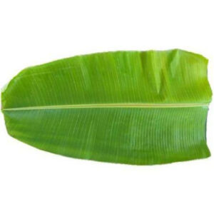 Plantain leaves