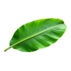 Banana leaves