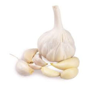 Garlic