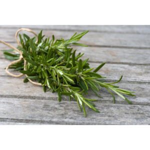 Rosemary