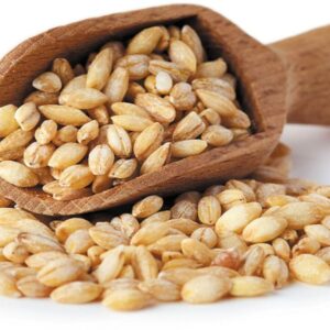 Barley
