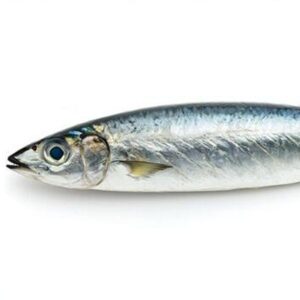 Sardines